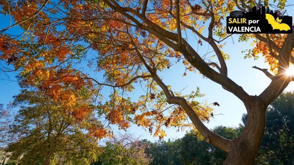 Jardín del Turia