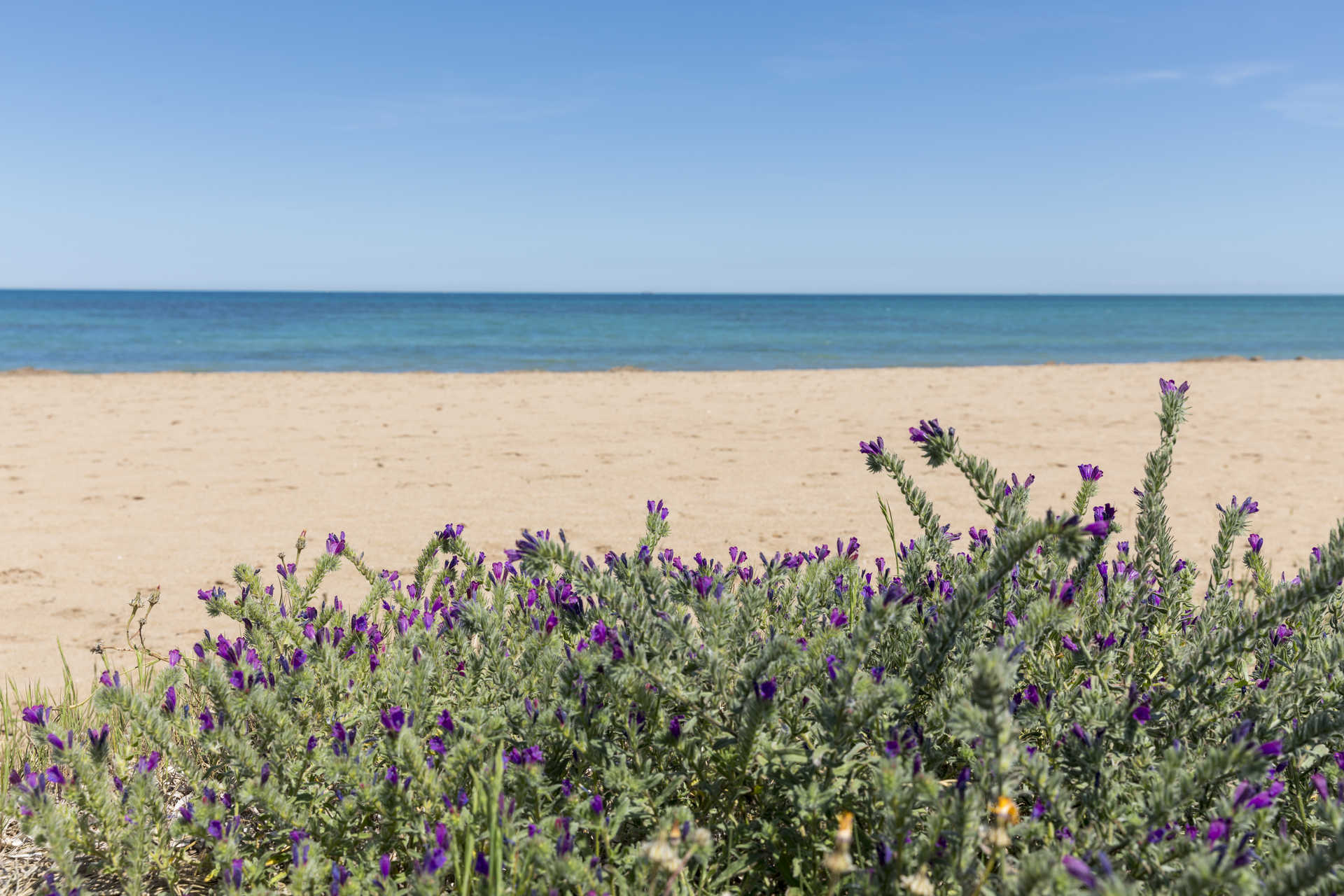 Playa de Les Marines (Dénia)