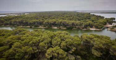 València se prepara para que l’Albufera sea declarada Reserva de la Biosfera por la Unesco