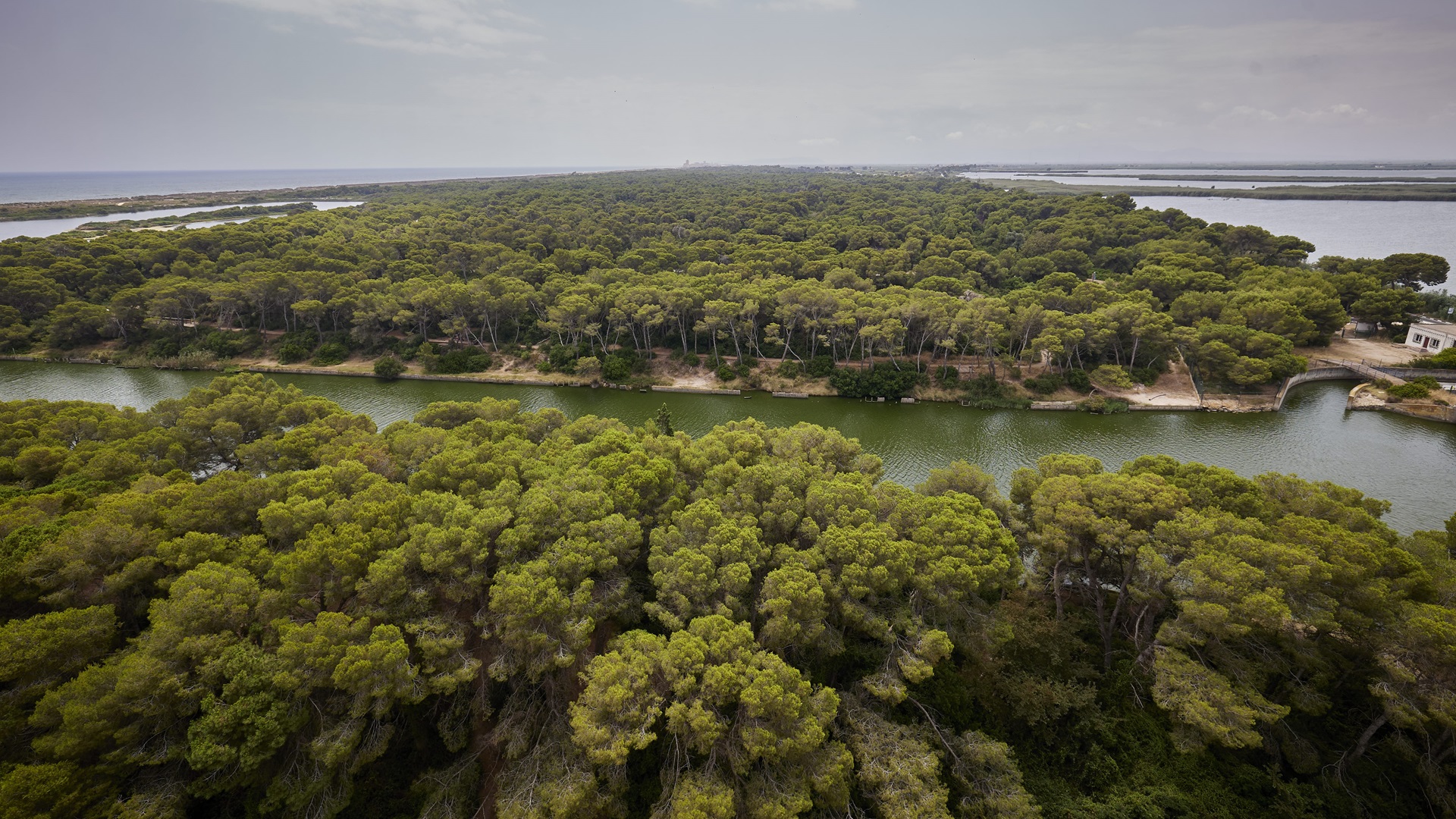 València se prepara para que l’Albufera sea declarada Reserva de la Biosfera por la Unesco