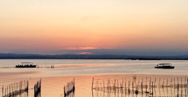 l'Albufera reserva de la biosfera