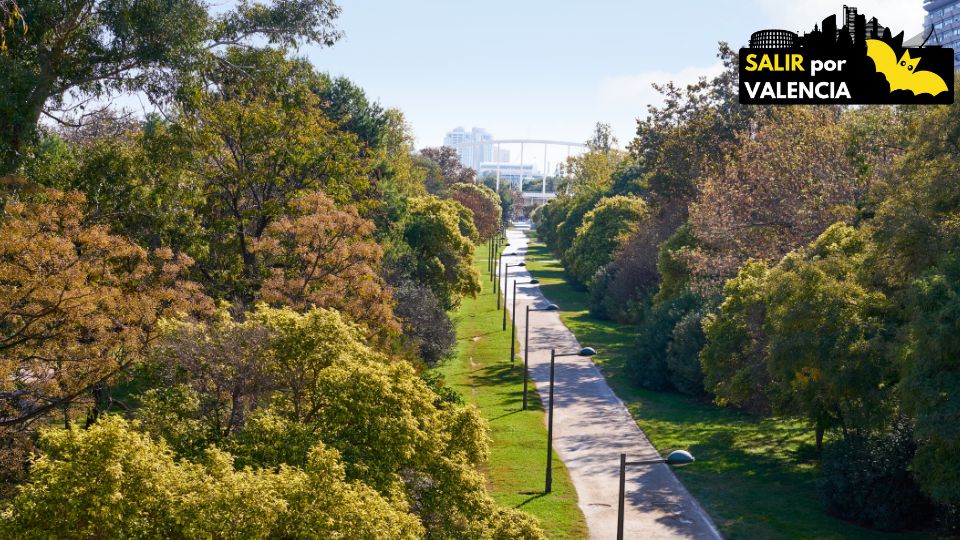 Actualización del Parque Central de València