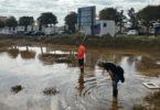 València intensifica el control de plagas tras las inundaciones