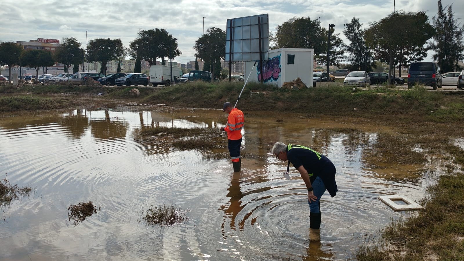 València intensifica el control de plagas tras las inundaciones