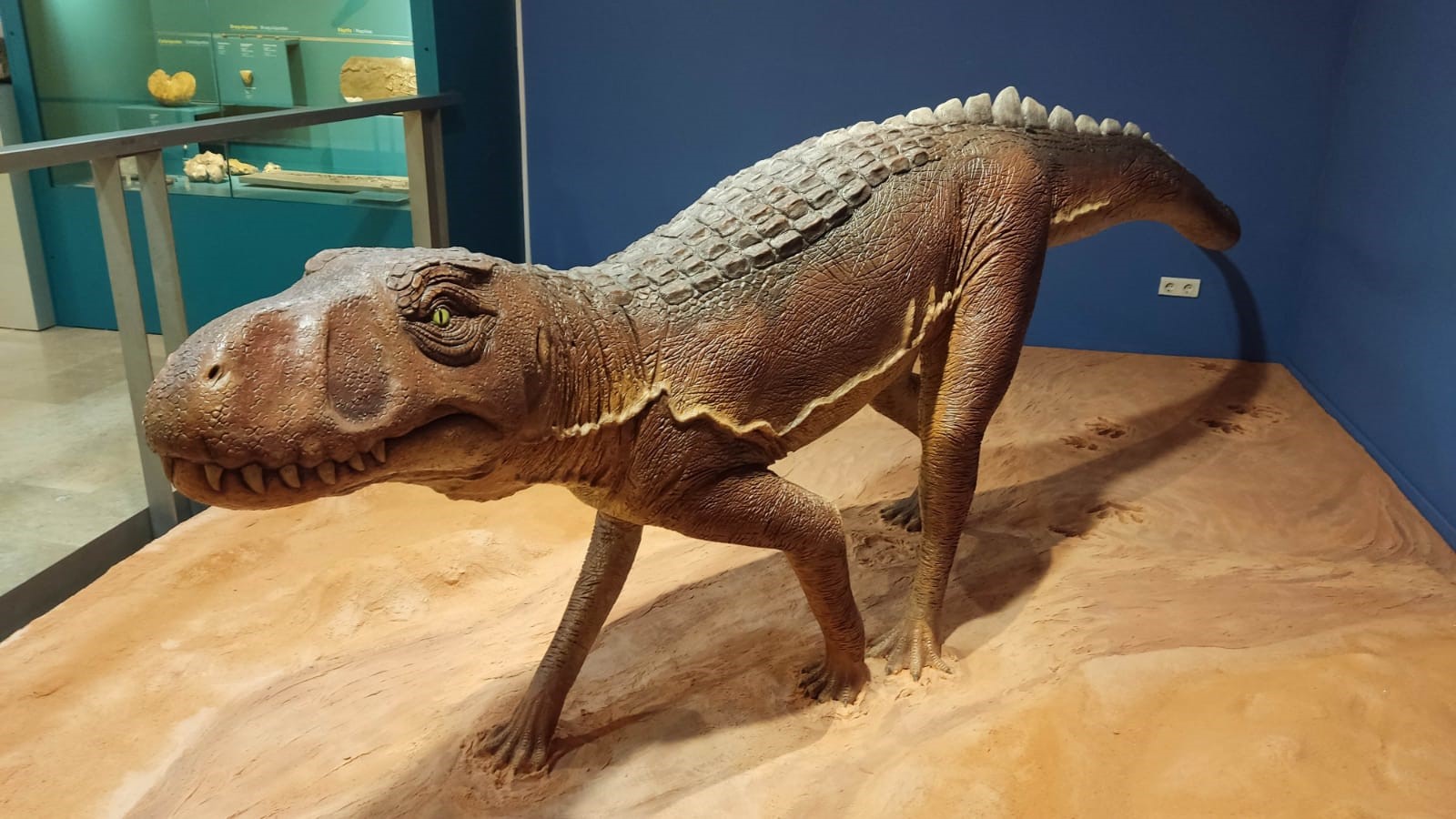 El Museo de Ciencias Naturales de València presenta una exposición única sobre el Chirotherium y sus icnitas