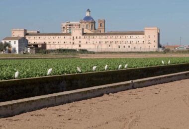 El Ayuntamiento inicia la exposición pública del Plan Especial de San Miguel de los Reyes