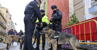 La fiesta de Sant Antoni homenajea a las unidades caninas por su trabajo después de la dana