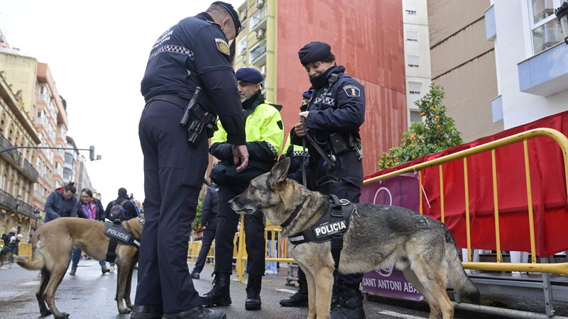 La fiesta de Sant Antoni homenajea a las unidades caninas por su trabajo después de la dana