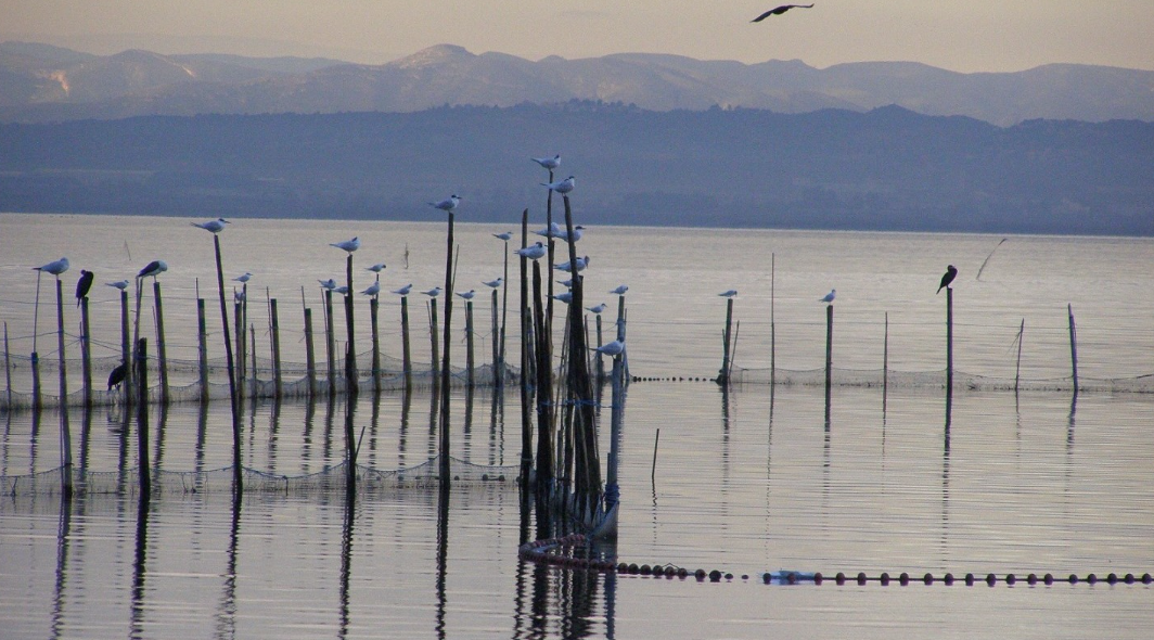 València pone en valor la candidatura de l'Albufera como reserva de la biosfera de la Unesco en Fitur