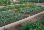 obras de los huertos urbanos de Orriols
