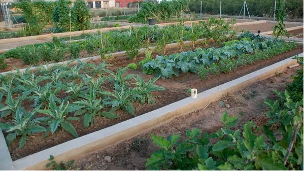obras de los huertos urbanos de Orriols