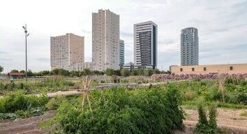 modificación del presupuesto para comprar 134 viviendas en Sociopolis y destinarlas a alquiler asequible