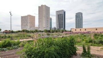modificación del presupuesto para comprar 134 viviendas en Sociopolis y destinarlas a alquiler asequible
