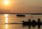 paseos en barca por la Albufera