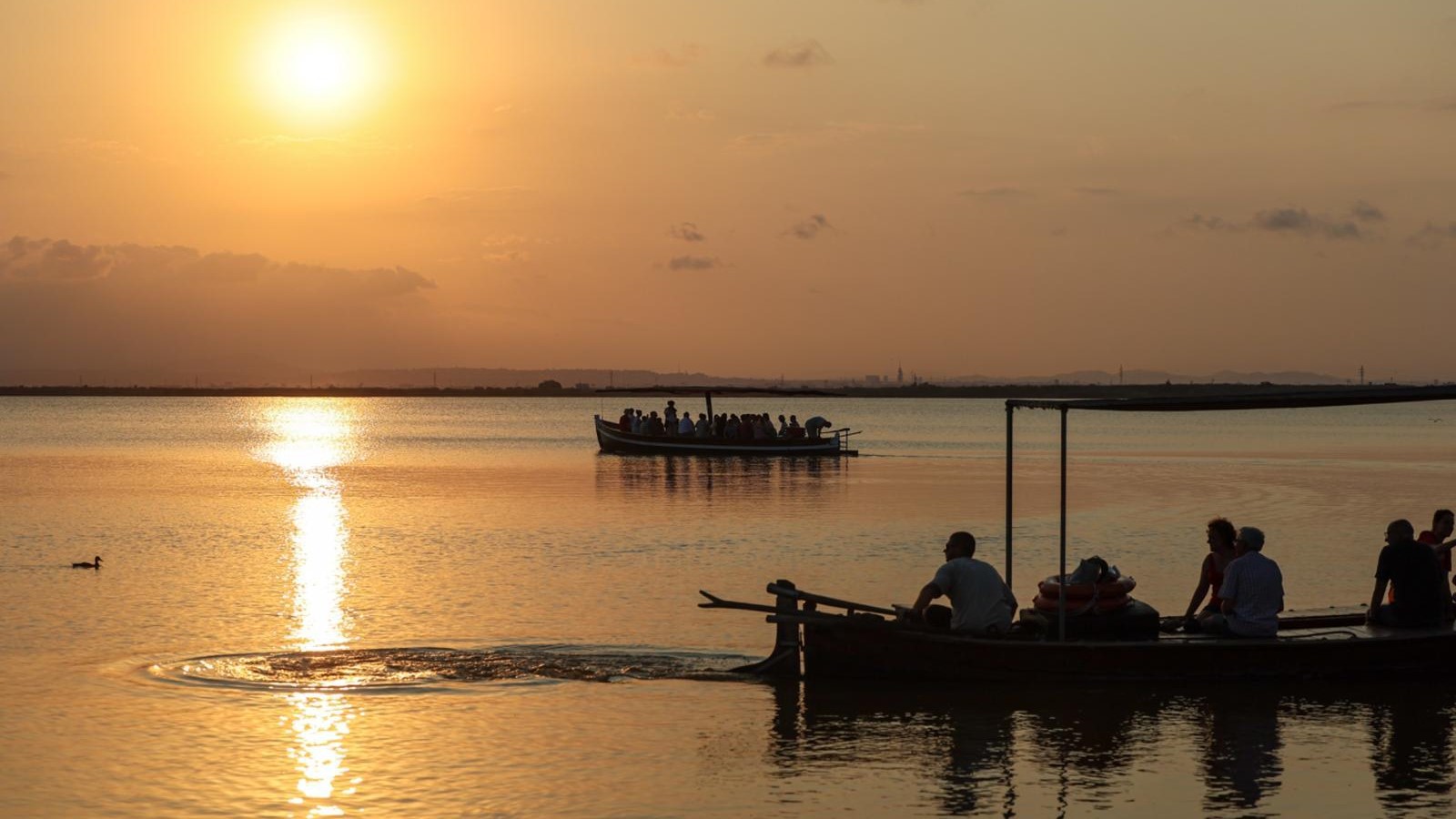 paseos en barca por la Albufera