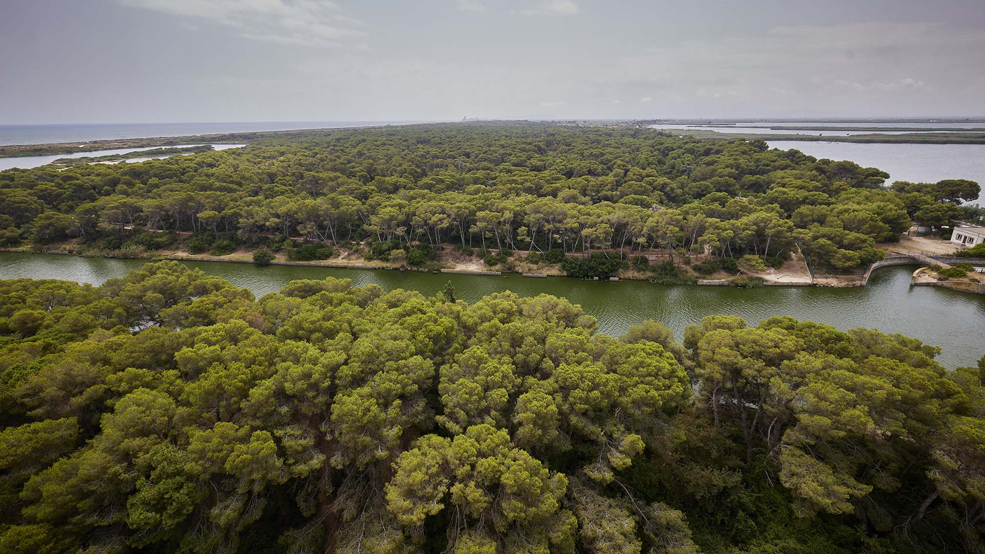 La Devesa