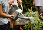 proyecto de los Huertos Urbanos de Orriols