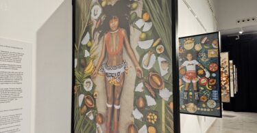 radiografía visual de la alimentación infantil mundial