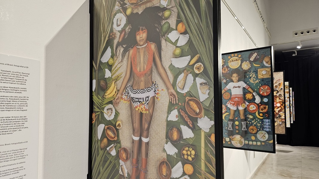 radiografía visual de la alimentación infantil mundial